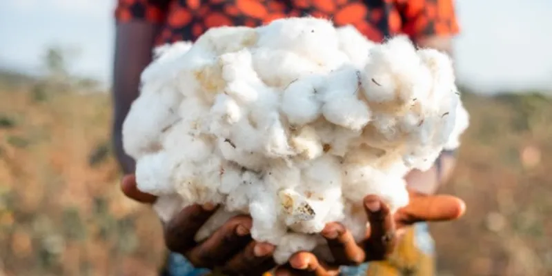 LCA Study Highlights Low Environmental Impact of CmiA Organic Cotton in Tanzania